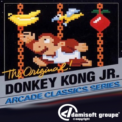 Donkey Kong Junior NES Nintendo Game Damisoft 2022
